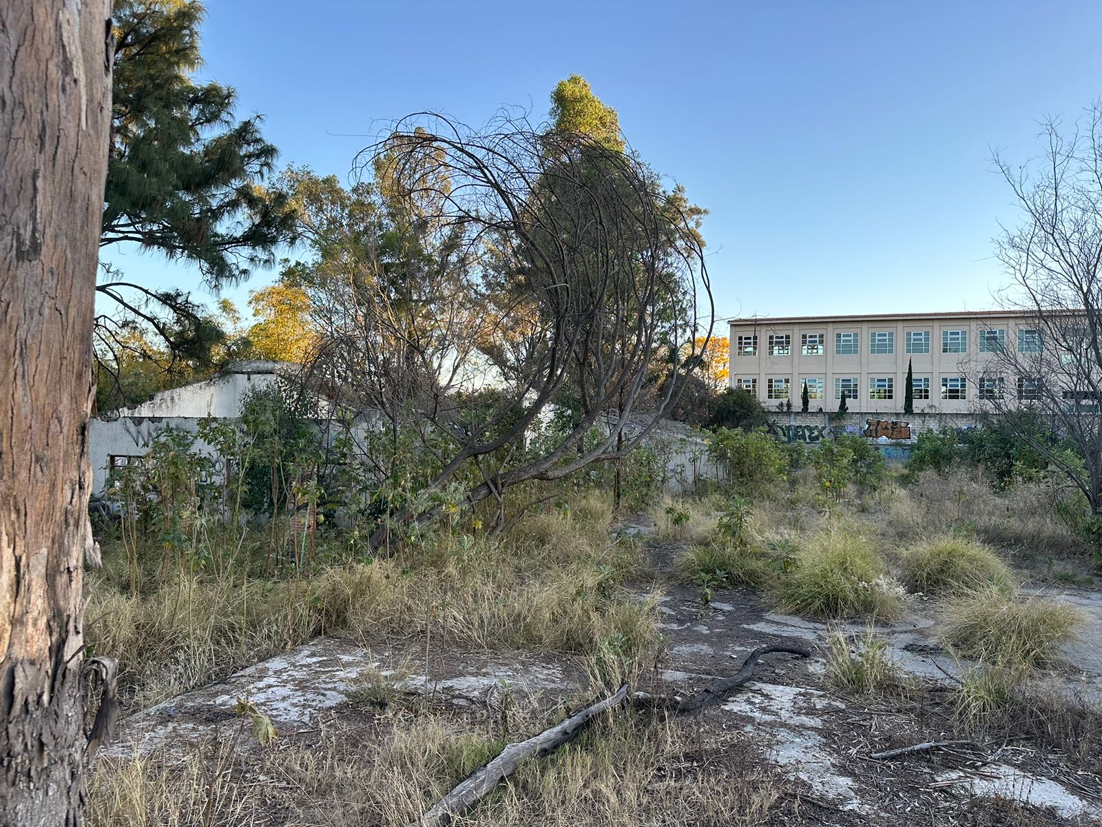 TERRENO EN VENTA EN LOS GAVILANES